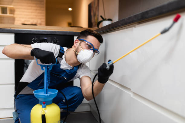 Best Pest Removal Services  in South River, NM