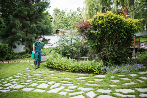 Best Wasp Removal Services  in South River, NM