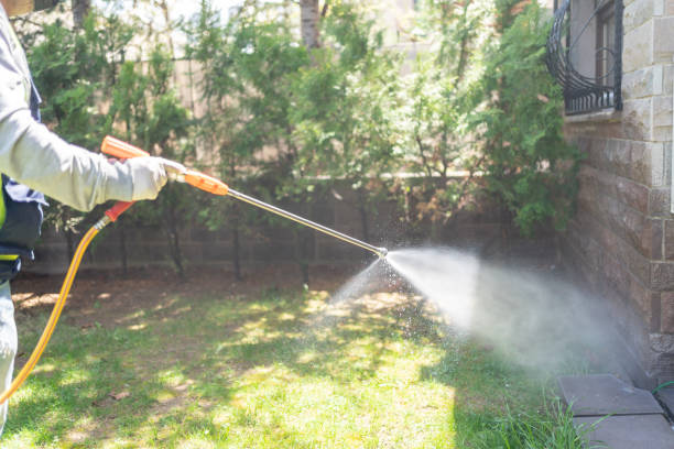 Best Best Pest Control Companies  in South River, NM